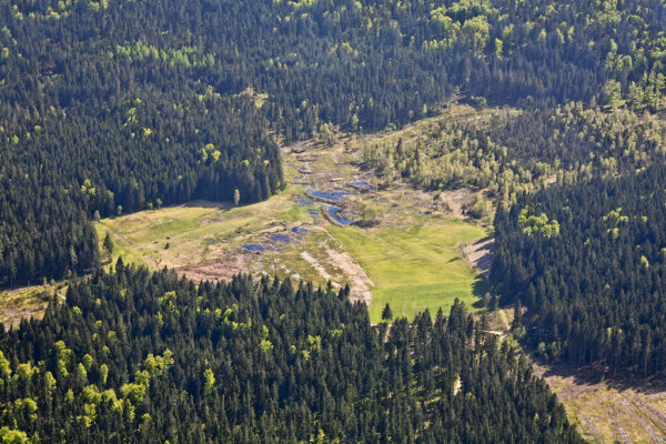 Blick von oben auf das Gebiet der Ruselmoore. Die Feuchtgebiete sind zwischen den Wäldern deutlich erkennbar.