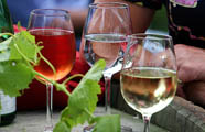 Gläser mit Weiß- und Rotwein