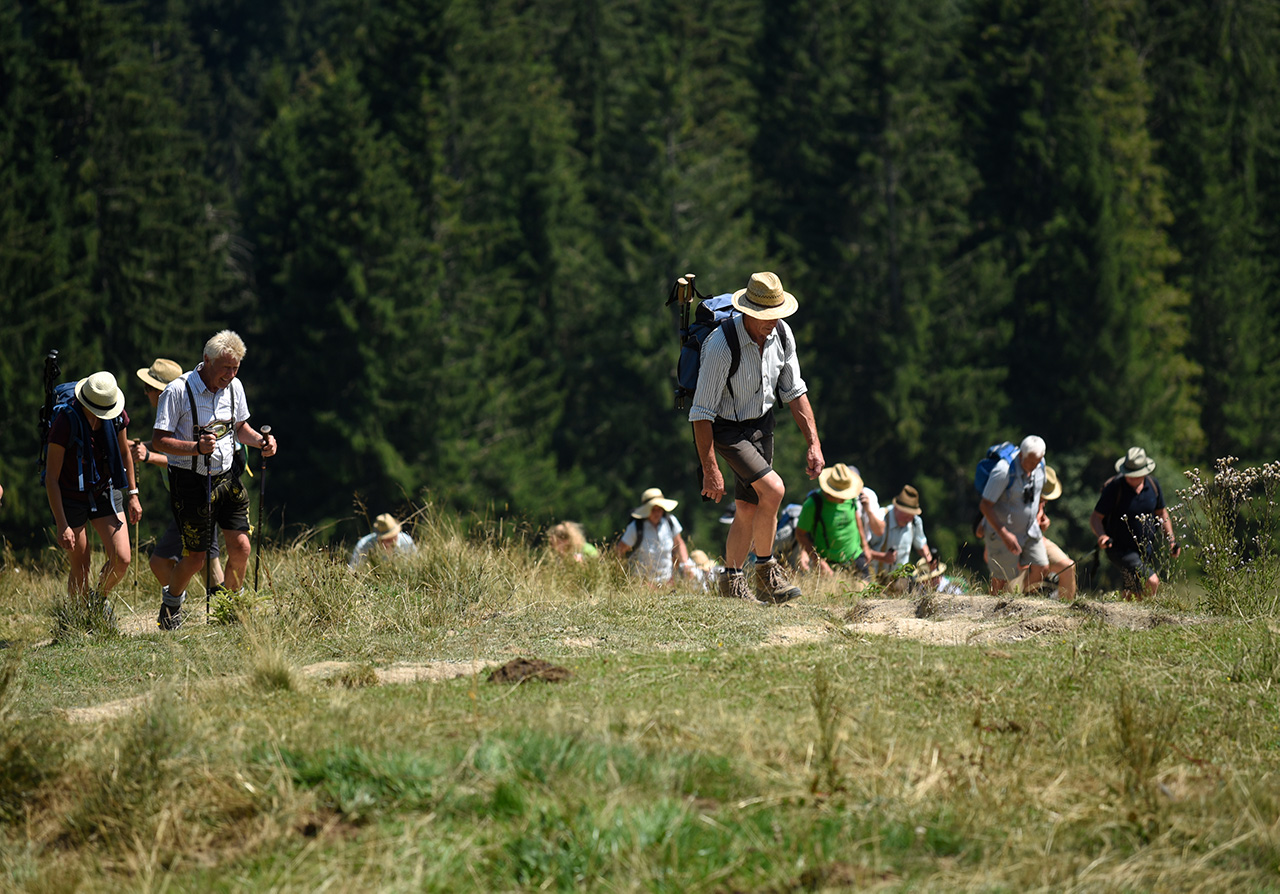 Berglandwirtschaft in Bayern - StMELF