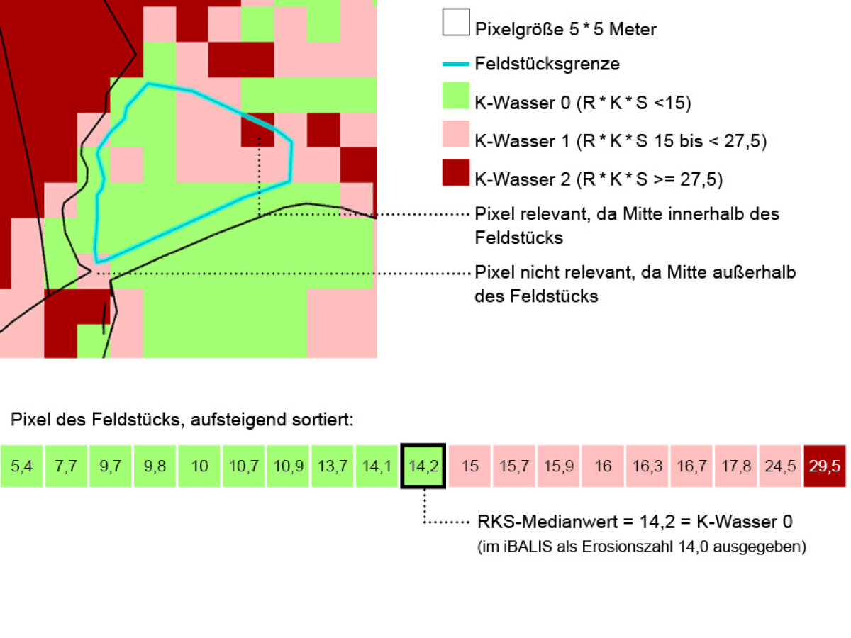 grafische Darstellung eines Feldstücks mit unterschiedlich gefärbten Pixeln