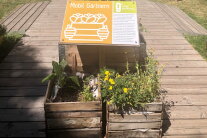 Zwei kleine Kisten mit Pflanzen und ein Hinweisschild zu Urban Gardening