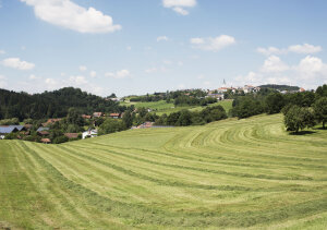 Gemähte Wiese, im Hintergrund Ortschaften