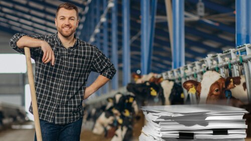 Fotomontage: Landwirt im Stall, daneben ein Stapel mit Dokumenten