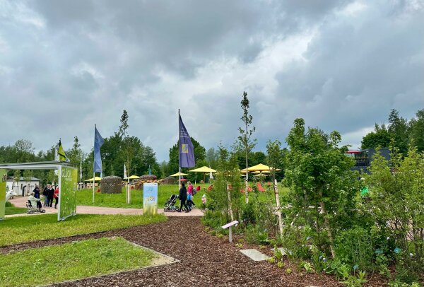 Rasen, Sträucher und im Hintergrund gelbe Schirme im Hintergrund.