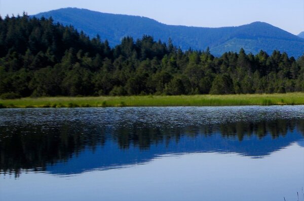 ein dunkler Moorsee umgeben von Wiesen. Dahinter dunkler Fichtenwald. Am Horizont bewaldete Hügel und Berge, die sich im Wasser spiegeln. Das ganze wird von wolkenlosem blauem Himmel abgeschlossen