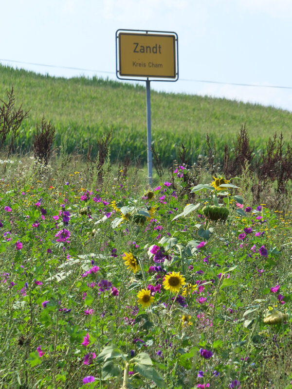 Blühender Ortseingang (Fotos: Gemeinde Zandt)