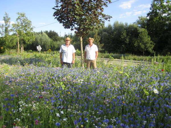 Blühender Ortseingang