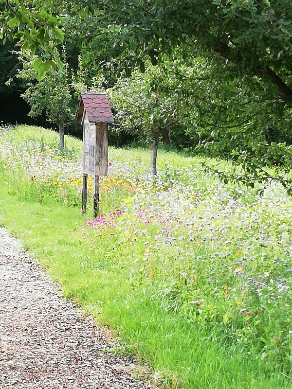 Steuobst und Wildbienenhotel