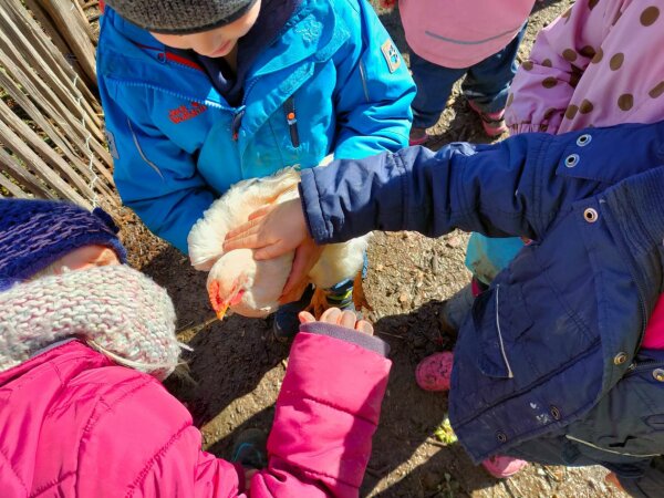 Drei Kinder streicheln ein Huhn