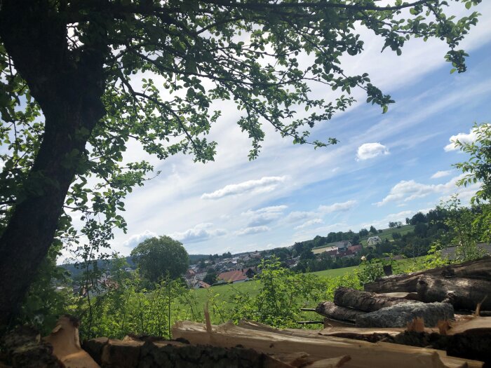 Blick über einen Stapel Brennholz auf eine grüne Wiese mit einem Dorf dahinter.