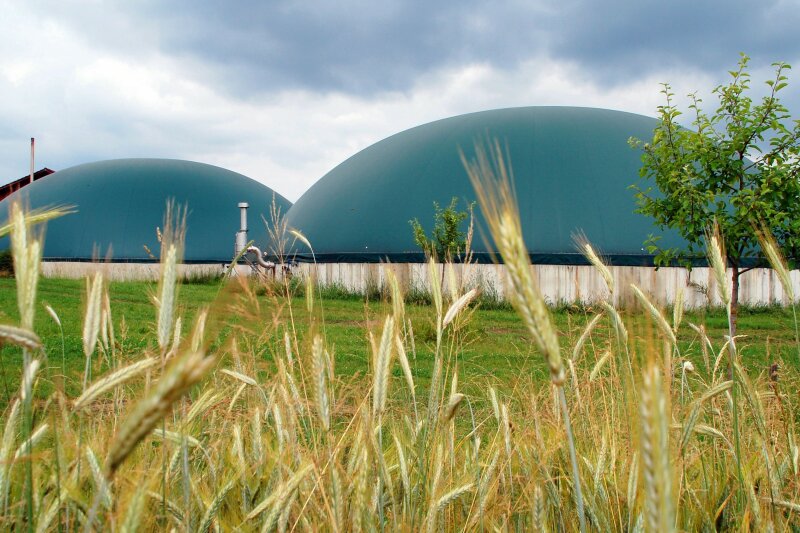 Zwei Biogasanlagen. Im Vordergrund stehen ein paar Getreidehalme