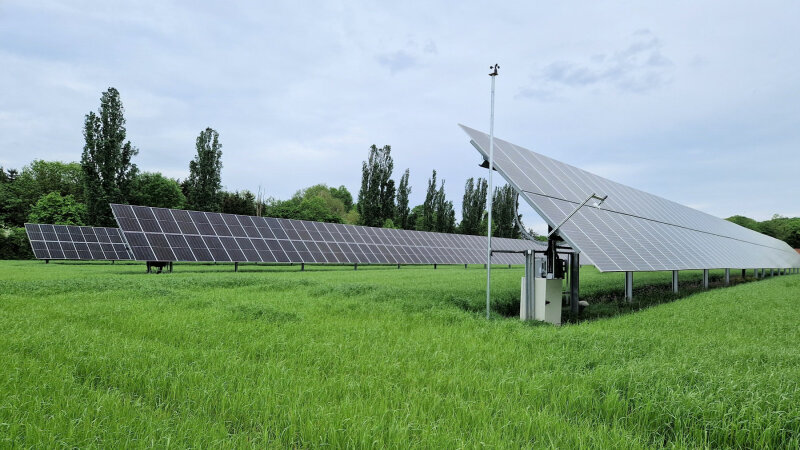 Modulreihen einer Photovoltaik-Freiflächenanlage