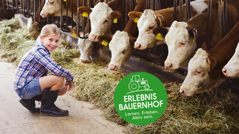Mädchen kniet vor Kühen, die fressen; eingeblendet Logo und Schriftzug Erlebnis Bauernhof