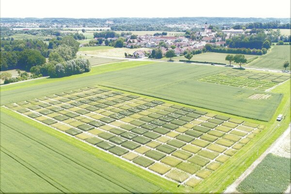 Feld aus der Vorgelperspektive, das in mehrere Parzellen unterteilt ist