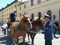 Pferdekutsche des Gestüts Schwaiganger vor dem Ministerium