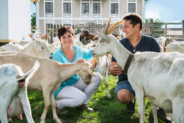 Fridolfing im Landkreis Traunstein ist bekannt für seine kulinarischen Spezialitäten. Auf dem Attlhof gibt es z.B. Ziegenkäse. (Foto: Bauer/StMELF)