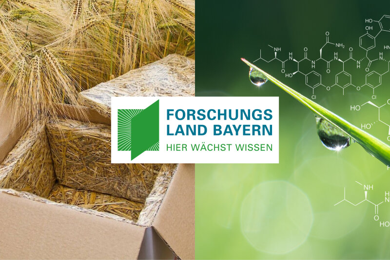 Kollage: Forschungsland Bayern - Hier wächst Wissen