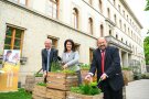 Ministerin Kaniber pflanzt einen Kistengarten mit Hermann Berchtenbreiter und Gerhard Zäh