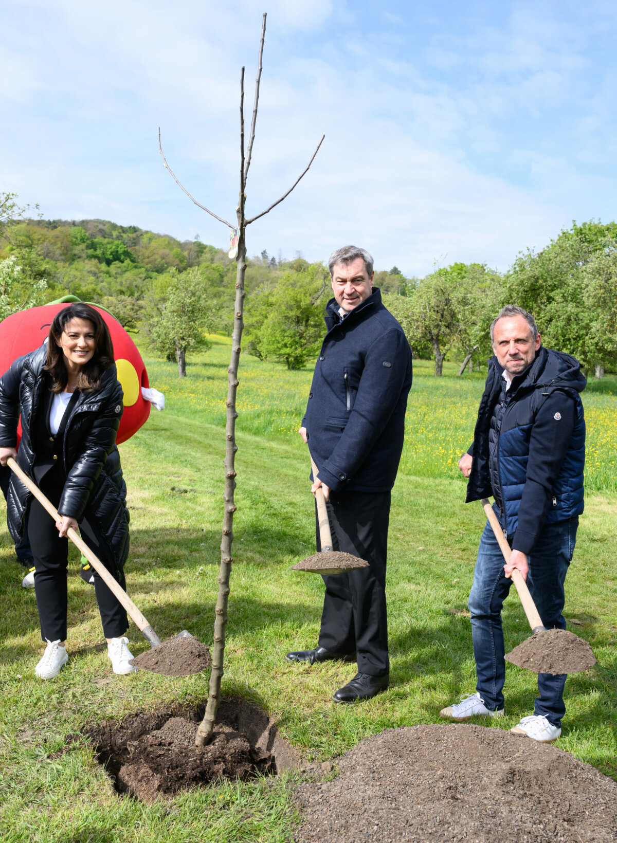 Landwirtschaftsministerin Michaela Kaniber, Ministerpräsident Dr. Markus Söder und Umweltminister Thorsten Glauber (v.l.n.r) pflanzen zum Tag der Streuobstwiese einen Apfelbaum..