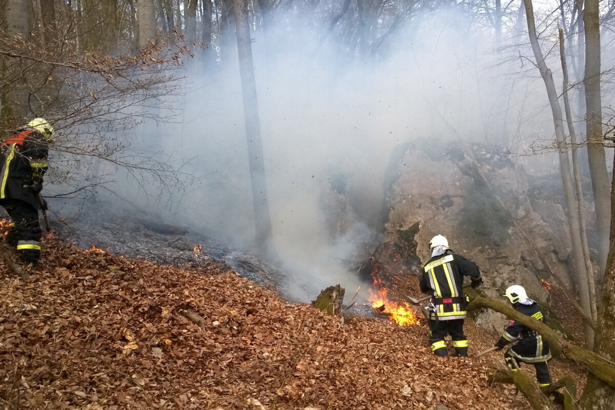 Feuerwehrmänner beim Löschen eines Waldbrandes