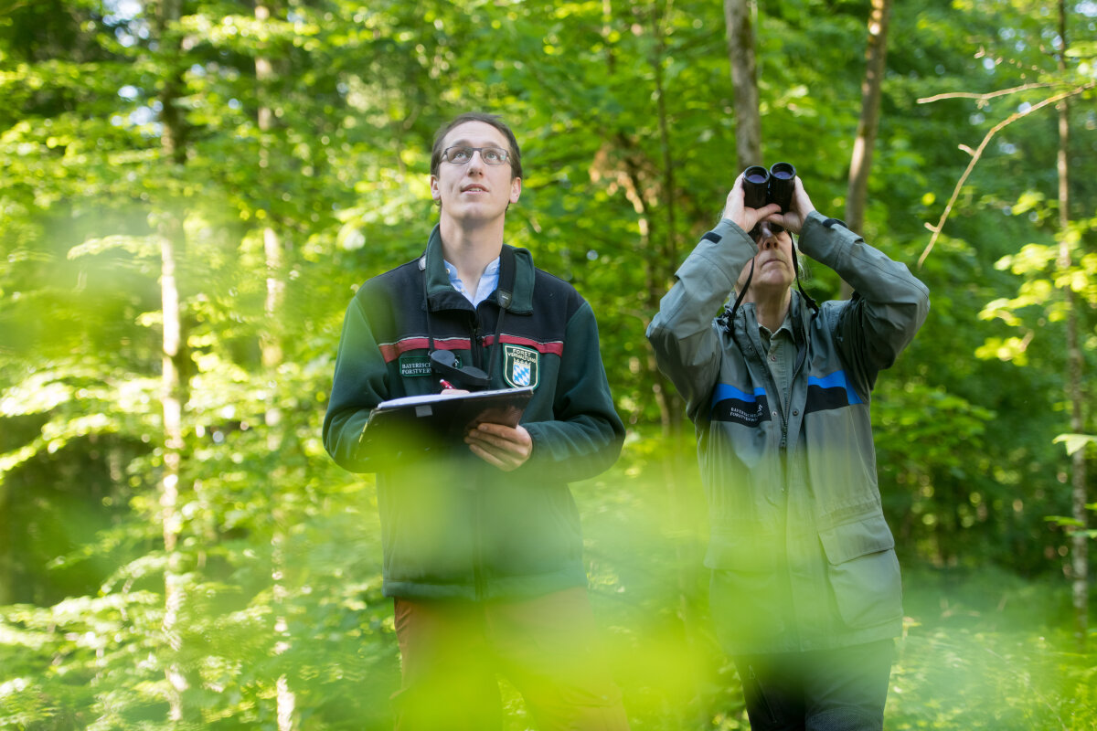 Zwei Förster stehen im Wald: Einer notiert etwas auf einem Schreibbrett, der andere schaut durch das Fernglas.