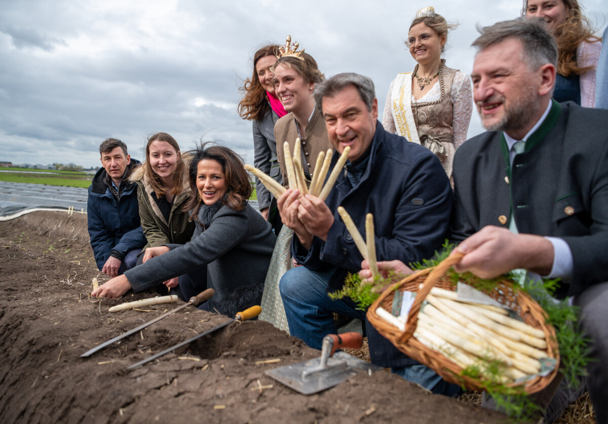 Ministerpräsident Dr. Markus Söder und Landwirtschaftsministerin Kaniber stechen Spargel bei der Eröffnung der Spargelsaison