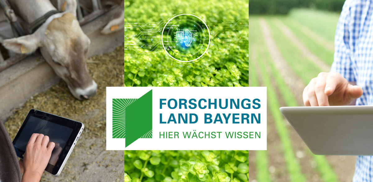 Fotomontage aus drei Bildern mit einem Kuhkopf, einem Feld mit Krautpflanzen und einer Hand mit Tablet. Darüber das Logo Forschungsland Bayern