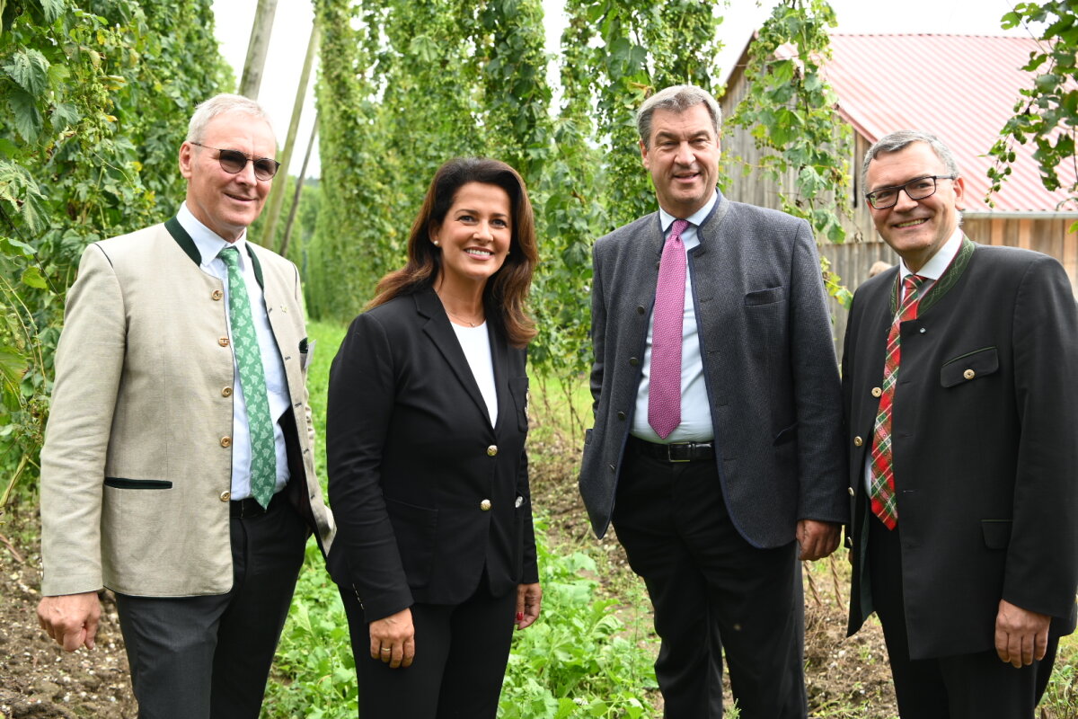 Gruppenbild von Hallertauer Hopfenpräsidenten Adolf Schapfl, Ministerin Michaela Kaniber, Ministerpräsident Dr. Markus Söder und Staatsminister Dr. Florian Herrmann in einem Hopfengarten