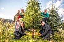 Kaniber und Herrmann sägen an einem Christbaum