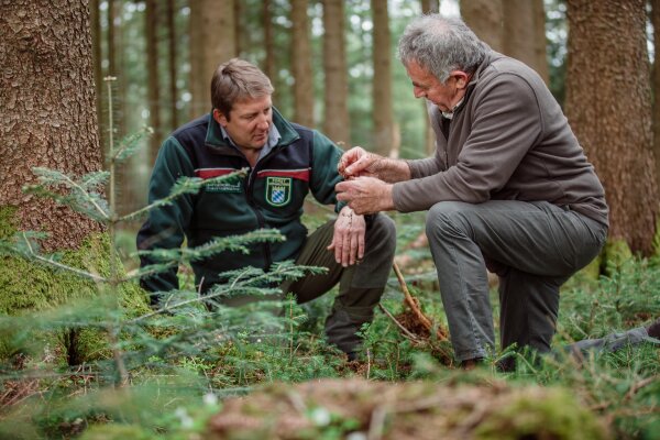 Die Forstverwaltung steht den Waldbesitzern mit einem umfassenden Beratungs- und Förderangebot zur Seite.