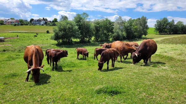 Gefährdete Nutztierrassen