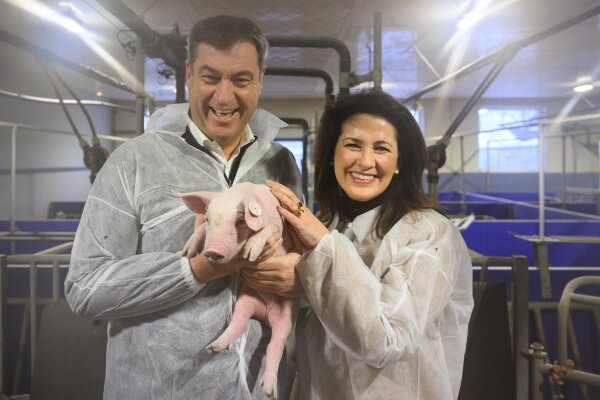 Schweinehaltung Betrieb Eichstätt