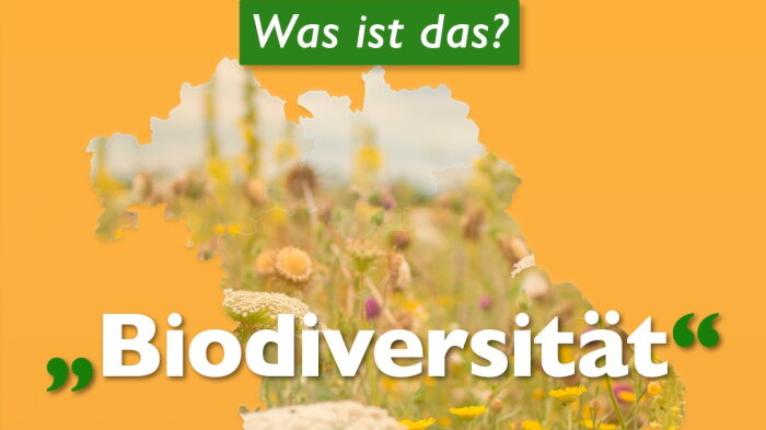 Was ist Biodiversität?