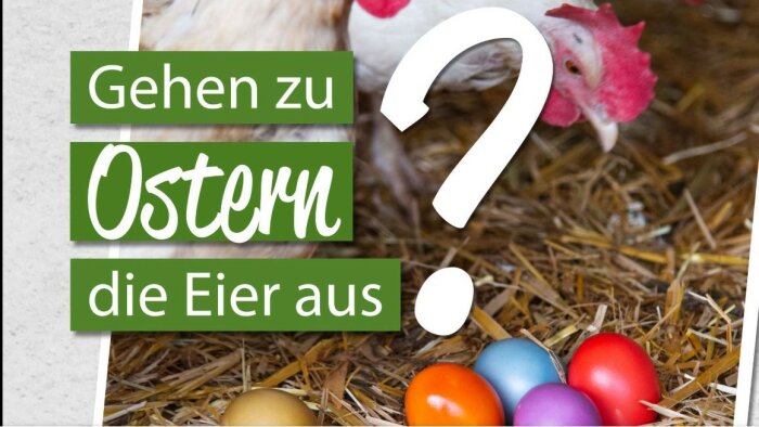 Im Hintergrund Hühner im Stroh und bunte Eiern im Vordergrund dazu der Text: Gehen zu Ostern die Eier aus?