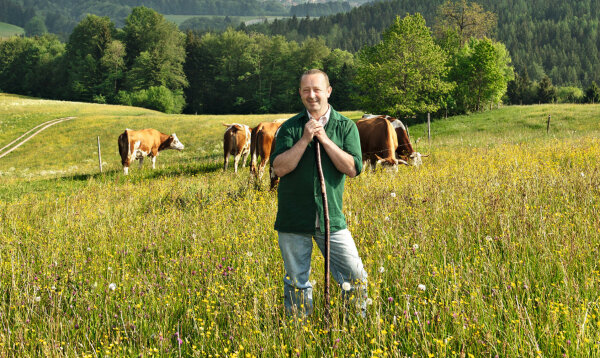 Landwirt auf Wiese mit Kühe im Hintergrund