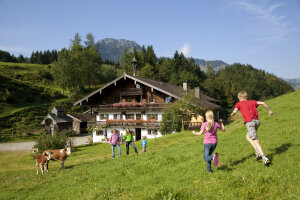 Kinder laufen auf einer Wiese in den Bergen auf der Kühe stehen, im Hintergrund ein Haus und Berge