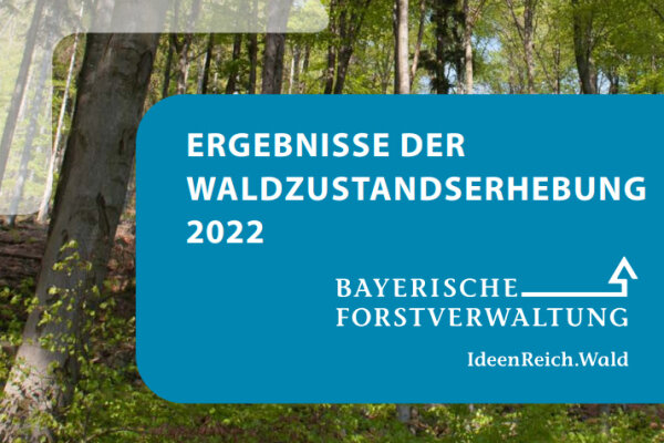 Foto eines Frühlingswaldes mit weißem Schriftzug auf blauem Grund: "Ergebnisse der Waldzustandserhebung 2022"