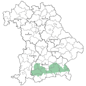 Die Karte zeigt das Bundesland Bayern. Zusätzlich sind die Grenzen der bayerischen Regierungsbezirke zu erkennen. Die ausgewählte Region ist als grüner Flächenumriss gekennzeichnet. Die Region Oberbayerische Jungmoräne und Molassevorberge liegt in Oberbayern vor der Erhebung der Alpen.