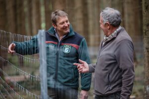 Förster berät einen Waldbesitzer im Wald. Sie stehen neben einem Wildschutzzaun.