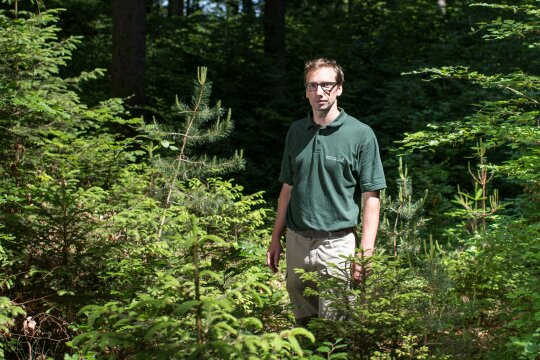 Förster umgeben von jungen Bäumen im Wald (© Sorin Morar)