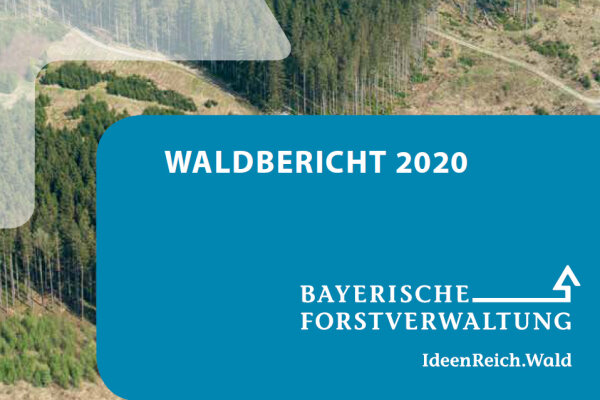 Titel "Waldbericht 2020"