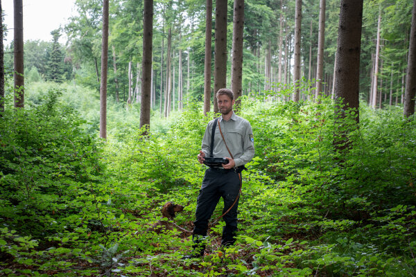 Förster mit Hund inmitten einer Buchen-Naturverjüngung im Fichtenwald (© Sorin Morar/StMELF)