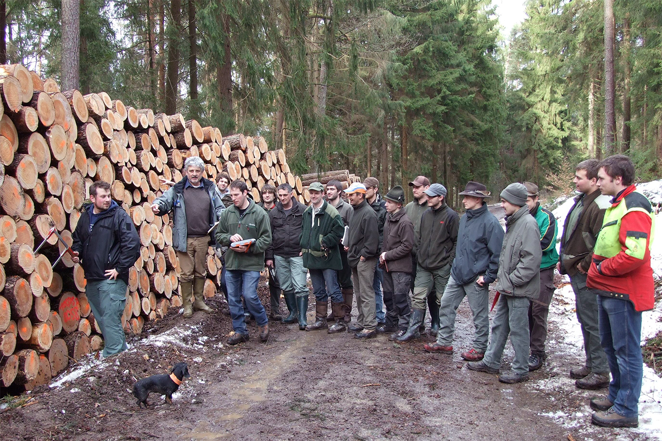Menschengruppe vor Holzpolter im Wald