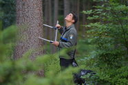 Förster im Wald misst mit einer Kluppe den Durchmesser eines Baums