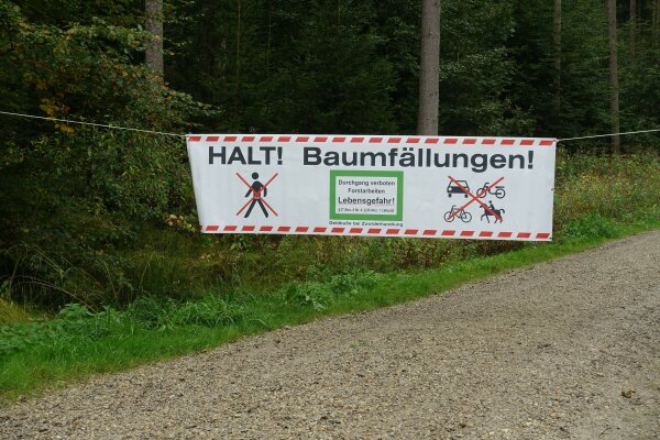 Absperrband mit Banner und Hinweis auf Baumfällung im Wald
