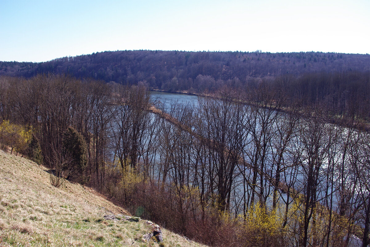 Auwaldfläche am Hang neben einem Fluss (Foto: Josef Egginger)