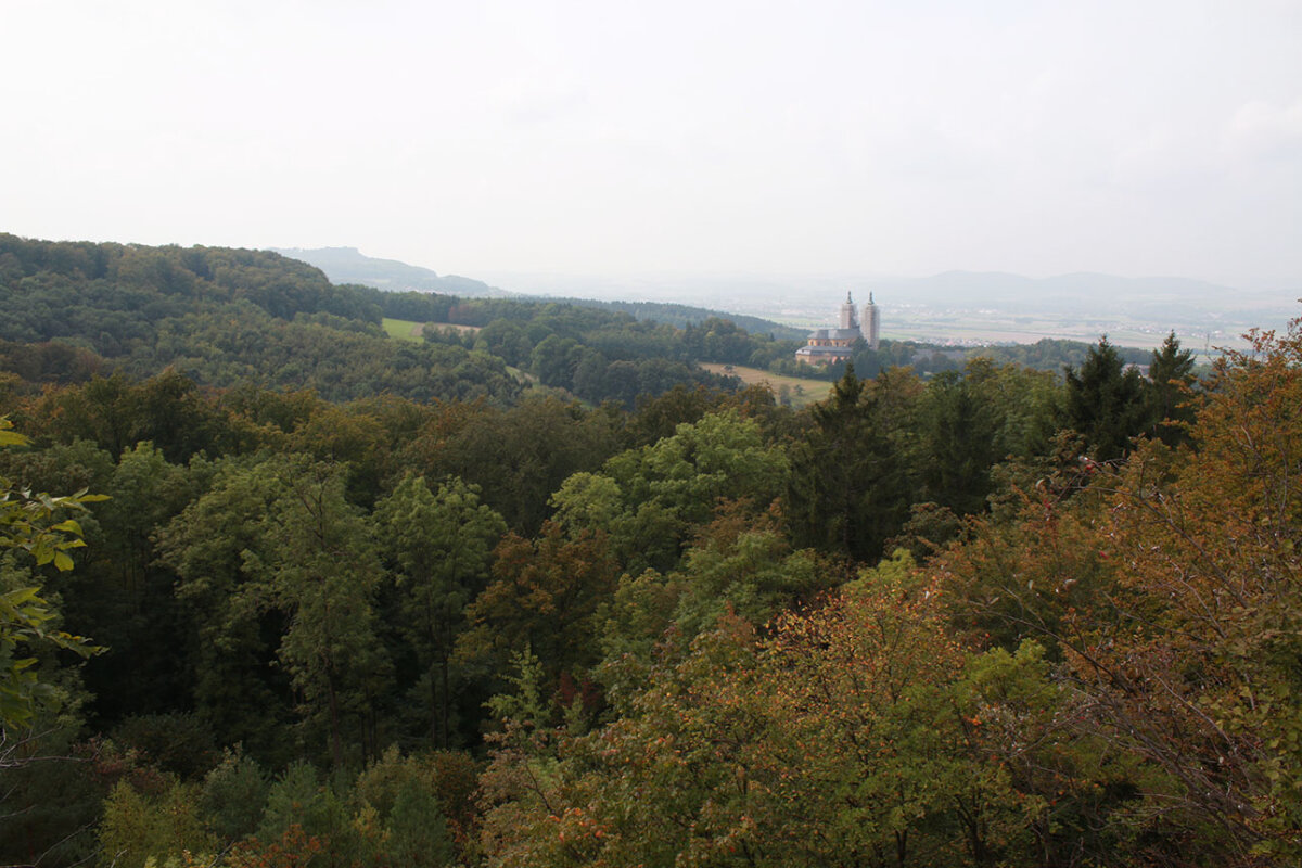 Blick über den Naturwald "Vierzehnheiligen" auf die Basilika Vierzehnheiligen vom Victor von Scheffel-Blick aus (© Felix Brundke)