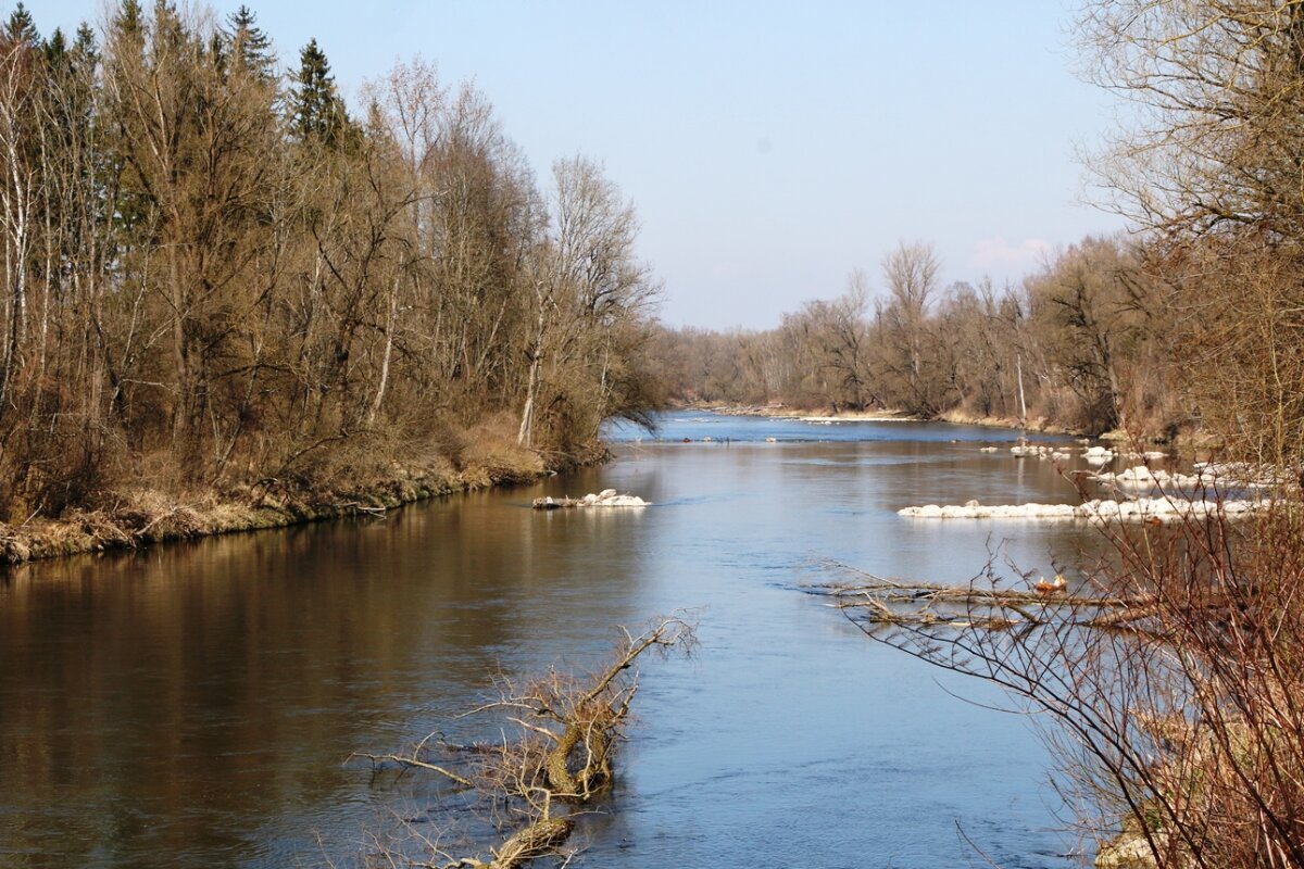 Flusslauf mit Kiesbank im Auwald