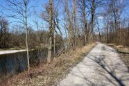 Radweg im Auwald am Fluss entlang (© Felix Brundke)