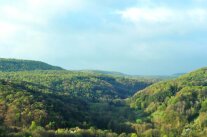 Mit Waldbewachsene Hügellandschaft